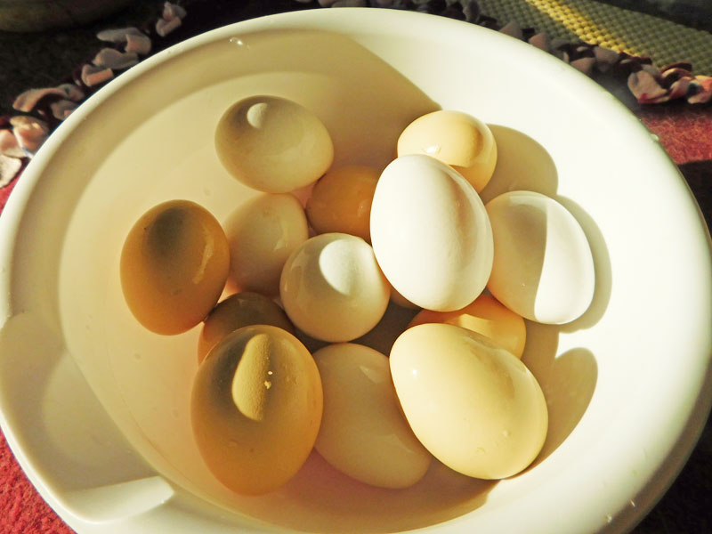 eggs10.jpg